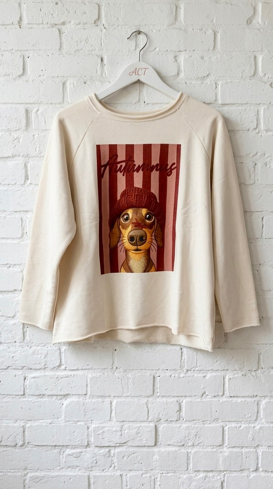 Sudadera Ilustrada Teckel