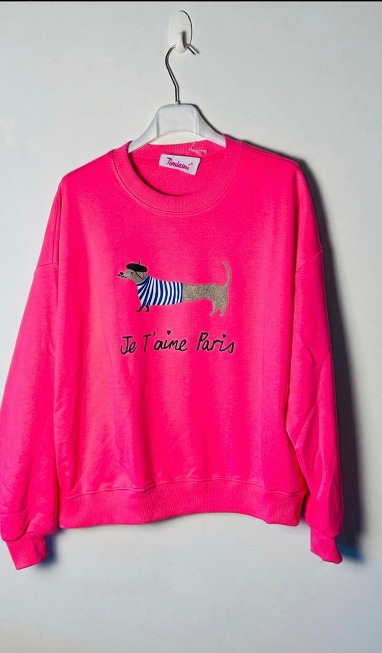 Sudadera Teckel +6colores