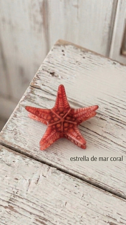 Pinza de pelo estrellita de mar +5 modelos