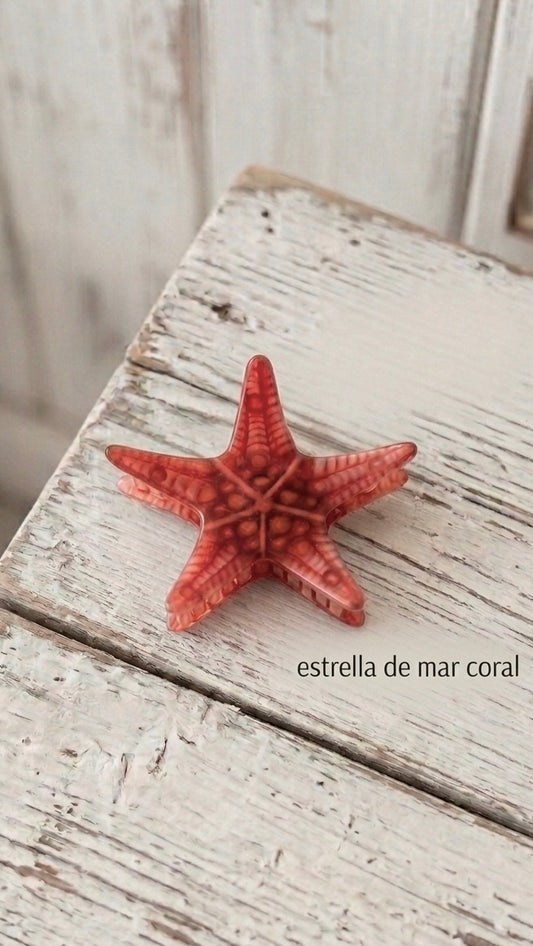 Pinza de pelo estrellita de mar +5 modelos