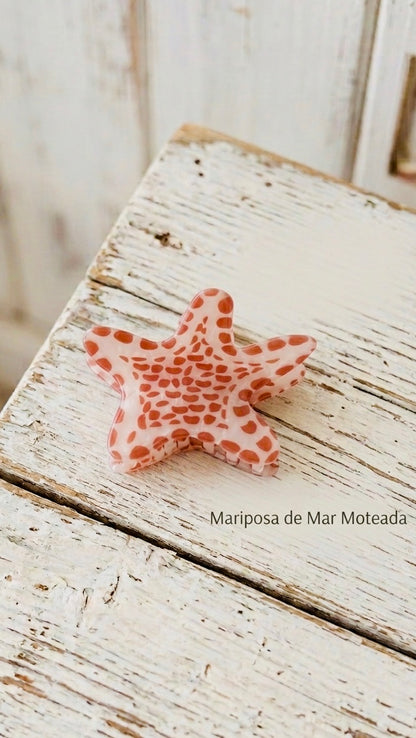Pinza de pelo estrellita de mar +5 modelos