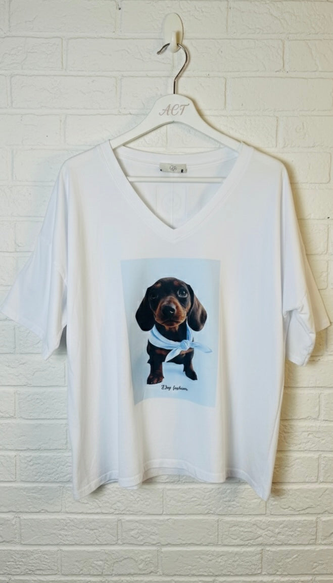 Camiseta Dog Fashion+5colores