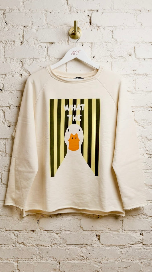 Sudadera Pato Rayas +3 colores