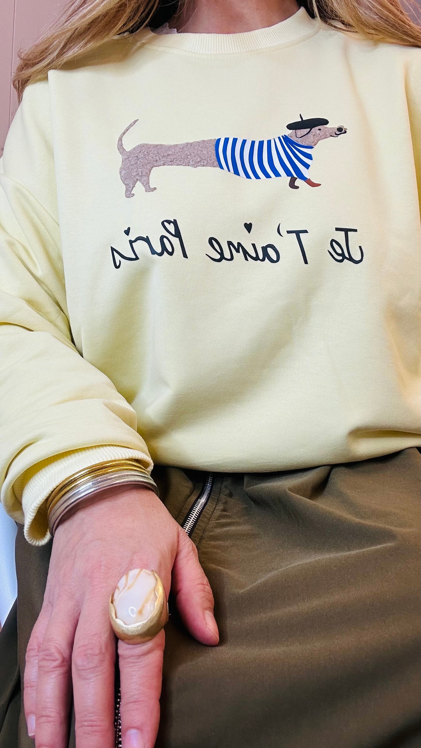 Sudadera Teckel +6colores