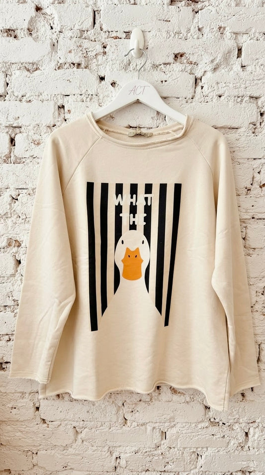 Sudadera Pato Rayas +3 colores